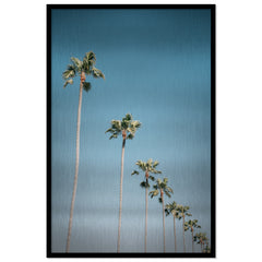 California Sky