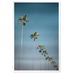 California Sky