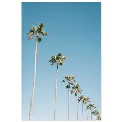 California Sky