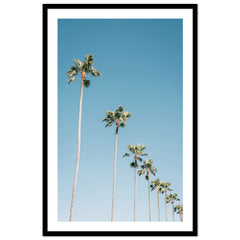 California Sky