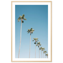 California Sky