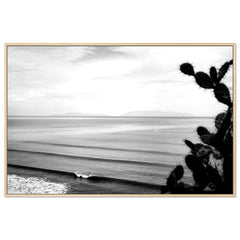 Baja Lookout