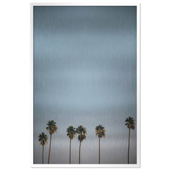 Crescent Palms