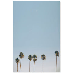 Crescent Palms
