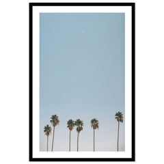 Crescent Palms