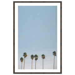 Crescent Palms