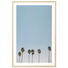 Crescent Palms