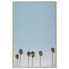 Crescent Palms