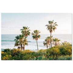 Laguna Overlook