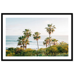 Laguna Overlook