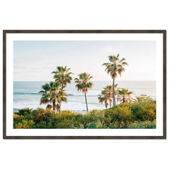 Laguna Overlook