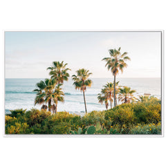 Laguna Overlook