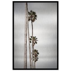 Palm Line