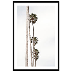 Palm Line