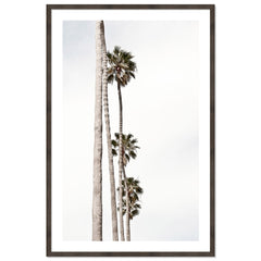 Palm Line
