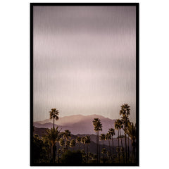 Palm Springs I