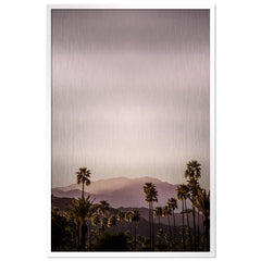 Palm Springs I