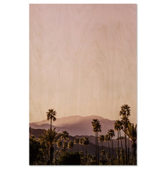 Palm Springs I