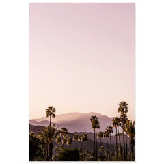Palm Springs I