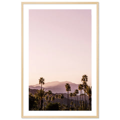 Palm Springs I