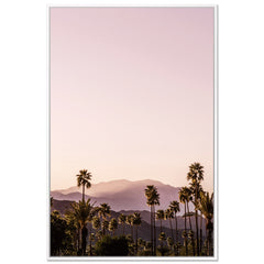 Palm Springs I