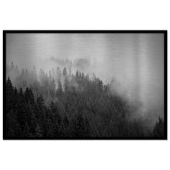 Foggy Treeline