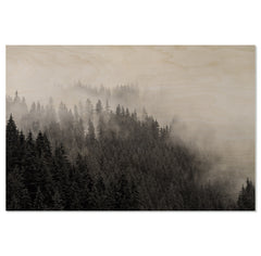Foggy Treeline