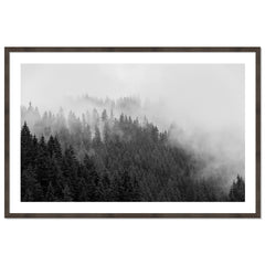 Foggy Treeline
