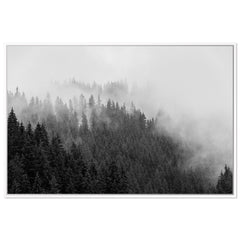 Foggy Treeline