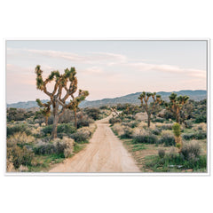 Pioneer Mt Reserve