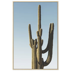 Saguaro Sunset
