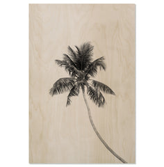 Tropic Palm
