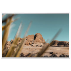 Boulders - Joshua Tree