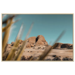 Boulders - Joshua Tree