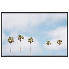 La Jolla Palms