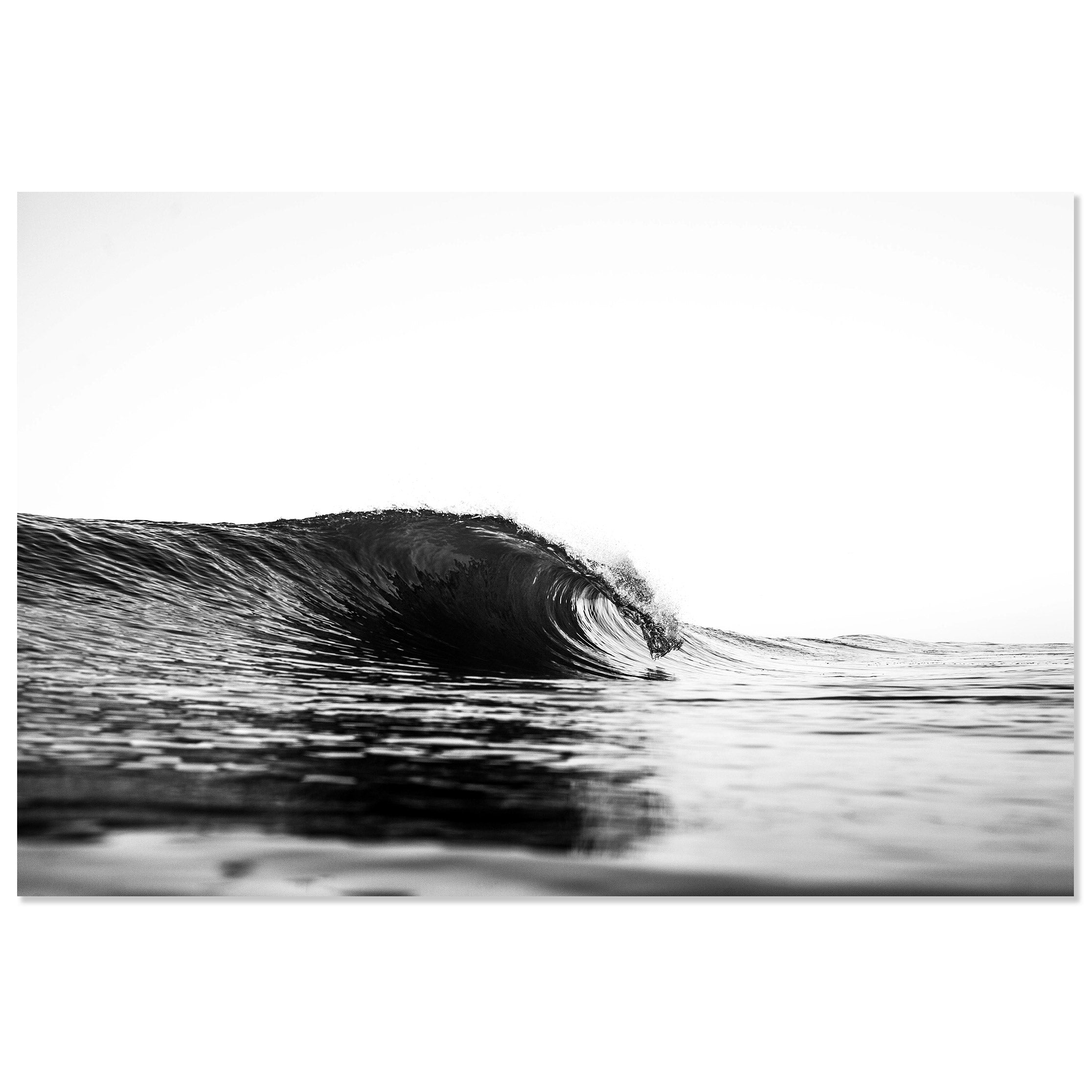 San Diego Art Prints - Affordable Art Prints Crafted Locally ...