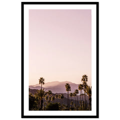 Palm Springs I