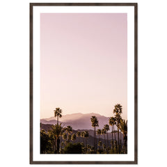 Palm Springs I