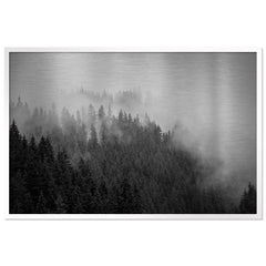 Foggy Treeline