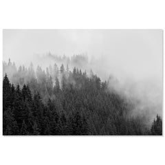 Foggy Treeline