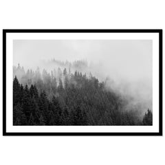 Foggy Treeline