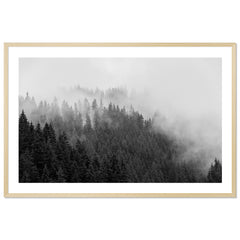 Foggy Treeline