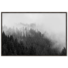 Foggy Treeline