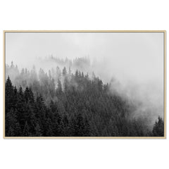 Foggy Treeline