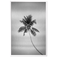 Tropic Palm