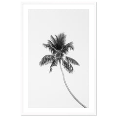 Tropic Palm