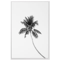 Tropic Palm