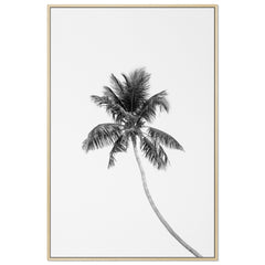 Tropic Palm
