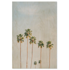 Sunlit Palms